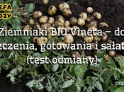 Ziemniaki BIO Vineta – do pieczenia, gotowania i sałatek (test odmiany)