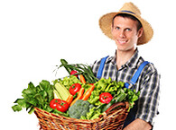 Dostawy świeżych produktów 11-16 sierpnia