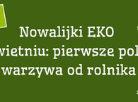 Nowalijki w kwietniu: pierwsze polskie warzywa od rolnika (co kupić i co z nich zrobić)