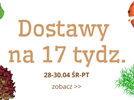 Dostawy na tydzień 17 :) 28-30 kwiecień