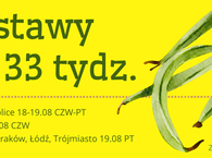 Dostawy na 33 tydz. :) 18-19.08 CZW-PT