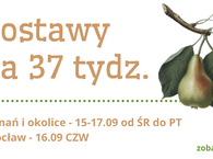 Dostawy na 37 tydz. :) 15-17.09 ŚR-PT
