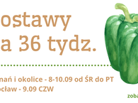 Dostawy na 36 tydz. :) 8-10.09 ŚR-PT