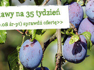 Dostawy na tydzień 35 :) środa-piątek 28-30 sierpnia