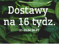 Dostawy na tydzień 16 :) 21-23 kwiecień