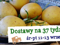 Dostawy na tydzień 37 :) środa-piątek 11-13 września