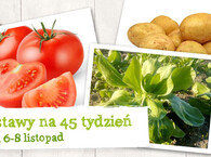 Dostawy na tydzień 45 :) środa-piątek 6-8 listopad