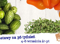 Dostawy na tydzień 36 :) środa-piątek 4-6 września