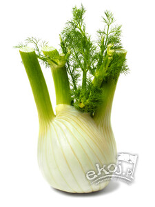 Koper włoski fenkuł BIO 1 szt. Import