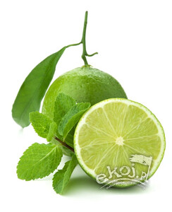 Limonki ekologiczne ok. 220g Import
