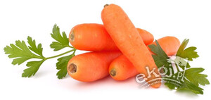 Marchew młoda świeża BIO ok. 1kg Import