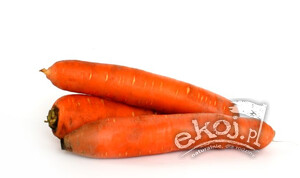 Marchew ekologiczna duża 1 kg