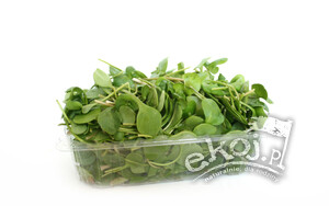 Portulaka BIO 100g Gospodarstwo Kwiatkowscy