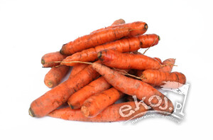 Marchew MINI BIO ok. 500g Gospodarstwo Kwiatkowscy