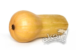 Dynia piżmowa BIO 1 szt. Import