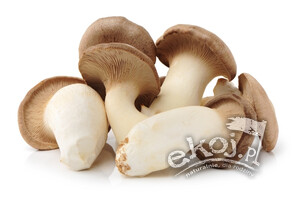 Grzyby boczniak ERYNGII (borowik stepowy) BIO ok. 200g Polska