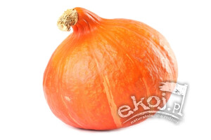 Dynia Hokkaido BIO 1szt. Import