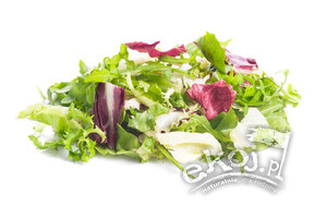 Mix sałat świeżych BIO niemyty 100g Import