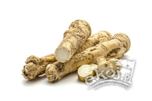 Chrzan świeży korzeń BIO ok. 100g Gospodarstwo Kwiatkowscy