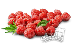 Maliny ekologiczne 125g Polska