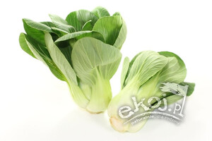 Kapusta Pak Choi 2 szt.