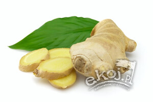 Imbir świeży ekologiczny ok.120 g Import