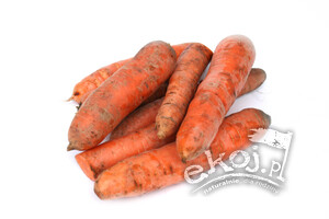 Marchew ekologiczna 1kg Gospodarstwo Kwiatkowscy