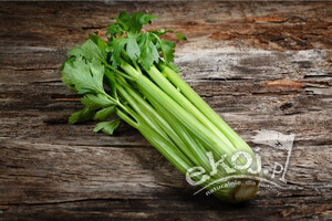 Seler naciowy świeży BIO 1 szt. Import