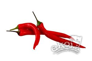 Papryka ostra chili świeża BIO ok. 100g Import
