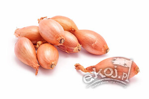 Cebula szalotka BIO 250g Gospodarstwo Kwiatkowscy