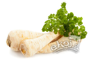 Pietruszka korzeniowa EKO 500g