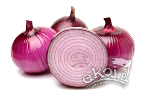 Cebula czerwona BIO ok. 1kg Gospodarstwo Kwiatkowscy