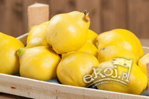 Pigwa świeża BIO 500g Import