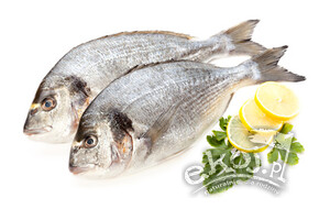 Dorada tusza 400g Seafood