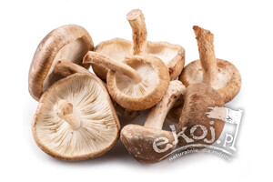 Grzyby Shiitake świeże EKO 200g Polska