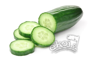 Ogórek długi ekologiczny 1szt. Import