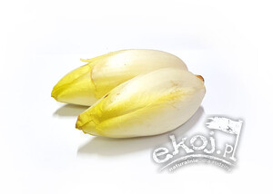 Cykoria świeża BIO ok. 400g Import
