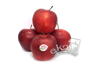 Jabłka BIO odmiana Red Jonaprince 1kg POLSKA