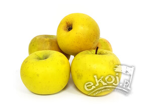 Jabłka BIO odmiana Golden Delicious 1kg Polska