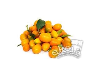 Kumkwaty BIO ok. 250g Import