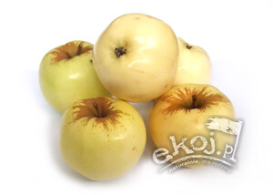 Jabłka BIO odmiana Antonówka 1kg Polska