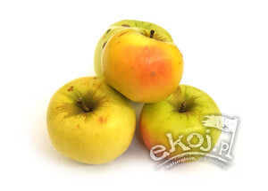 Jabłka BIO odmiana Ananas 1kg Gospodarstwo Tupaj