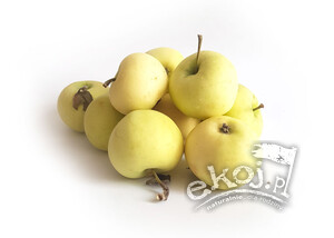Jabłka papierówki EKO 1kg Gospodarstwo Tupaj