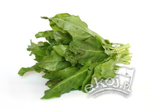 Szczaw ogrodowy BIO 120g