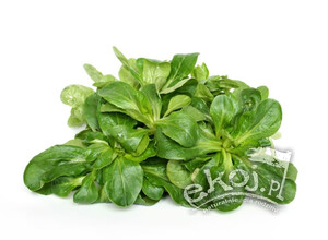 Roszponka BIO niemyta 100g Import