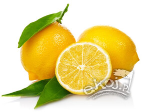 Cytryny świeże ekologiczne ok. 400g Import