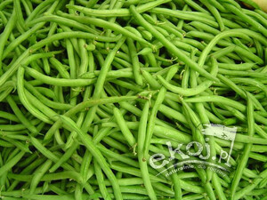 Fasolka szparagowa zielona BIO 500g Gospodarstwo Kwiatkowscy