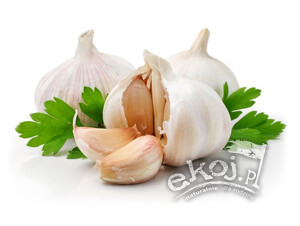 Czosnek świeży BIO 3 szt. Import