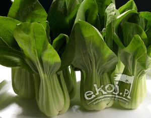 Kapusta Pak Choi BIO 2 szt. Gospodarstwo Kwiatkowscy