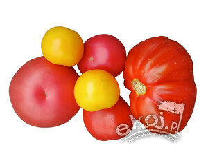 Pomidory MIX BIO ok. 1kg Gospodarstwo Kwiatkowscy